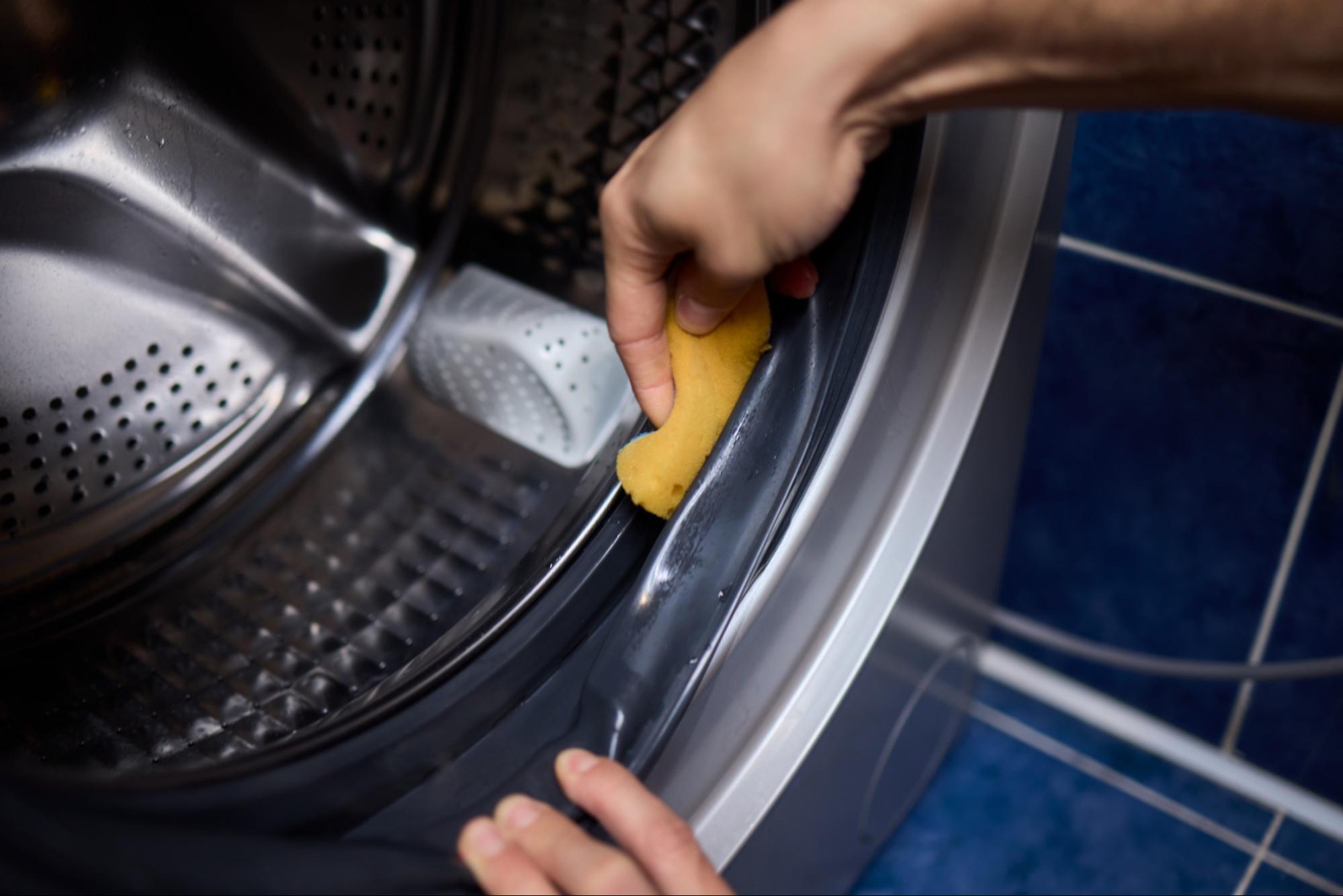 Person cleaning washing machine gasket